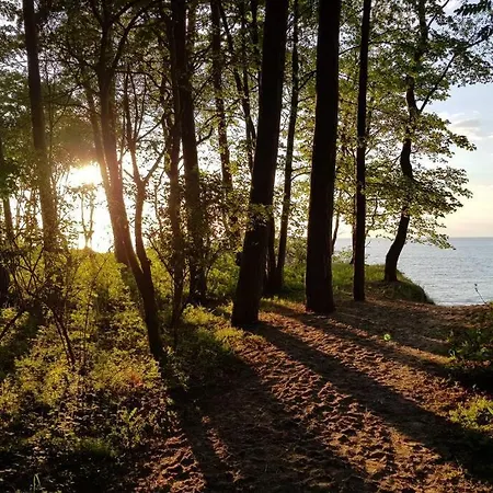 Traumhaftes Lena Direkt An Der Ostsee *